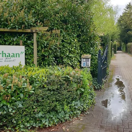 Pipowagen Bed Bij Bos
