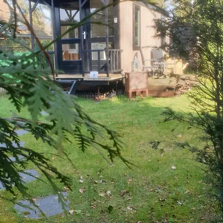 Holiday park Pipowagen Bed Bij Bos