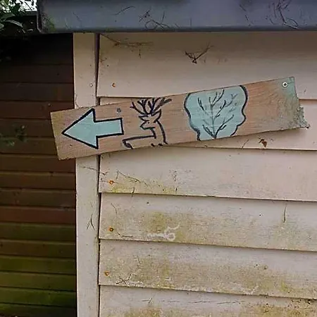 Prázdninový areál Pipowagen Bed Bij Bos *