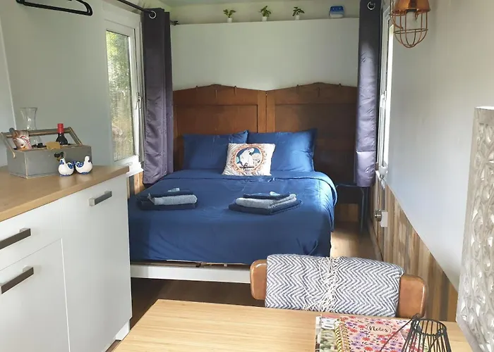 Pipowagen Bed Bij Bos Putten