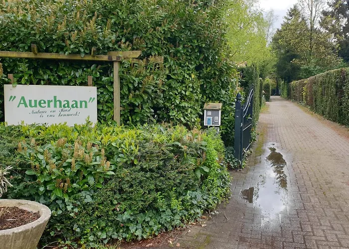 Pipowagen Bed Bij Bos