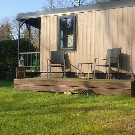 Pipowagen Bed Bij Bos *