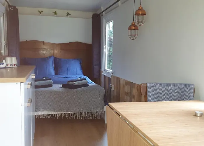 Pipowagen Bed Bij Bos *